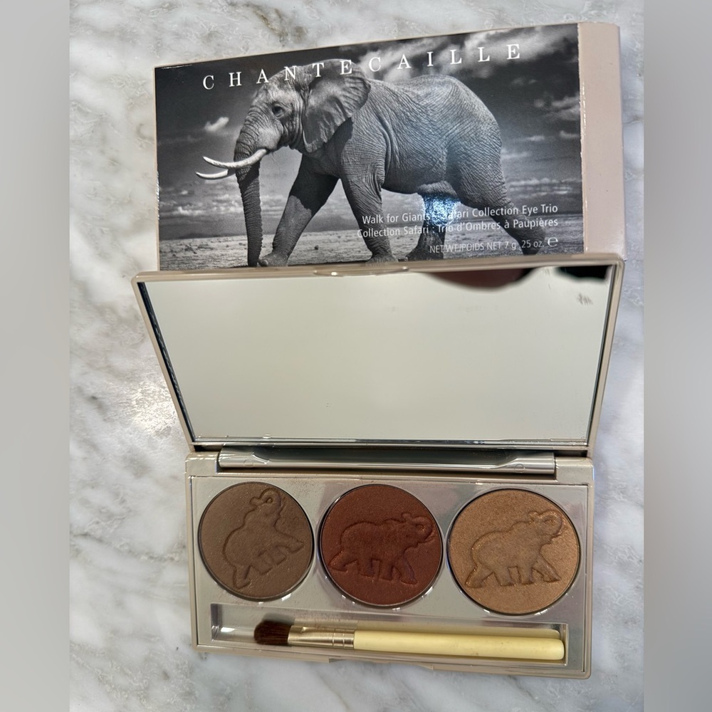 Chantecaille eye shadow palette.